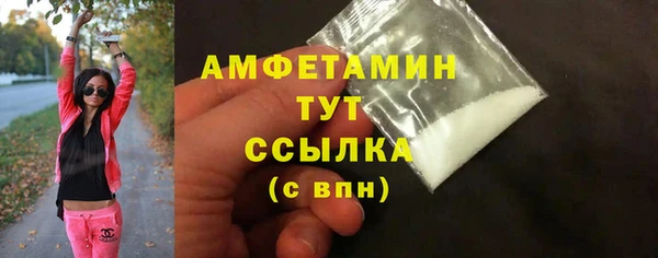 сатива Гусь-Хрустальный
