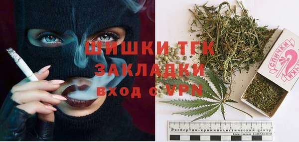 сатива Гусь-Хрустальный