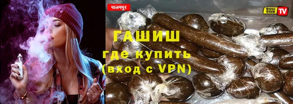сатива Гусь-Хрустальный