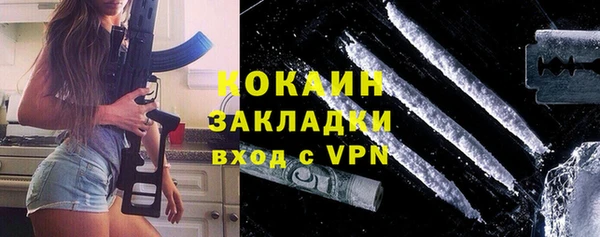 крисы Гусев