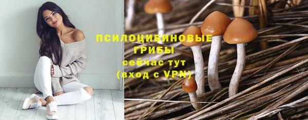 сатива Гусь-Хрустальный