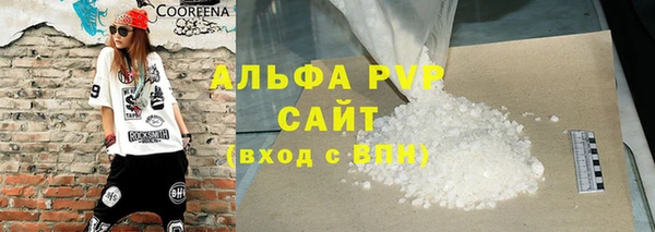 сатива Гусь-Хрустальный