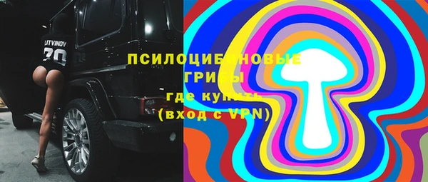 крисы Гусев